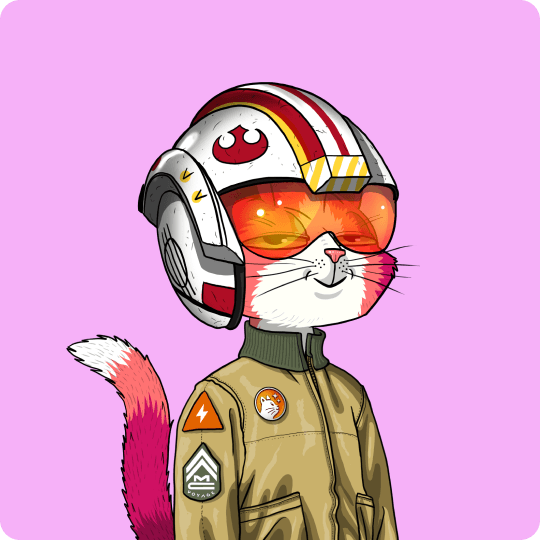 Flight Engineer Lesh